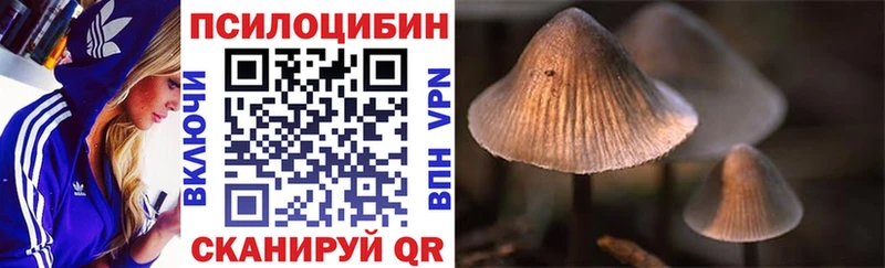 Псилоцибиновые грибы GOLDEN TEACHER  ссылка на мегу вход  Кушва 