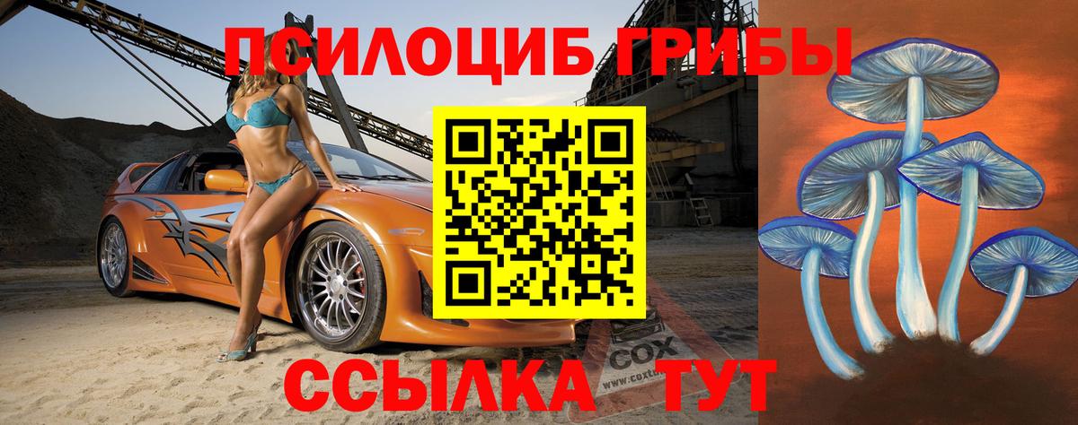 Псилоцибиновые грибы Psilocybine cubensis  Галлюциногенные грибы GOLDEN TEACHER  Вход с VPN  Кушва 